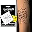 Spider Web 2