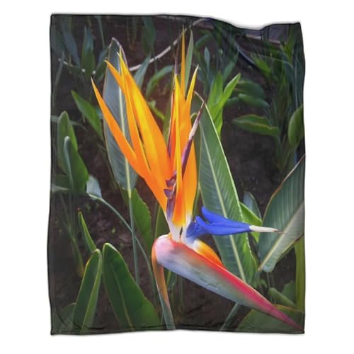 Couverture microfibre lavable en machine 150x200cm fleur de jardin - 3