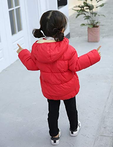 Image of WALLARENEAR Winter Coats for Toddler Kids Baby Boys Girls Padded Light Puffer Jacket Outerwear Infant Down Jacket with Hoods, Bear Ears-red, 18-24 Months