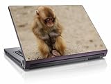lenovo s205 laptop  Tendenze Edition \