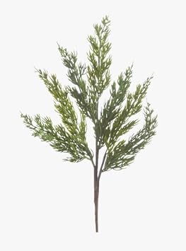 18" Evergreen Branch