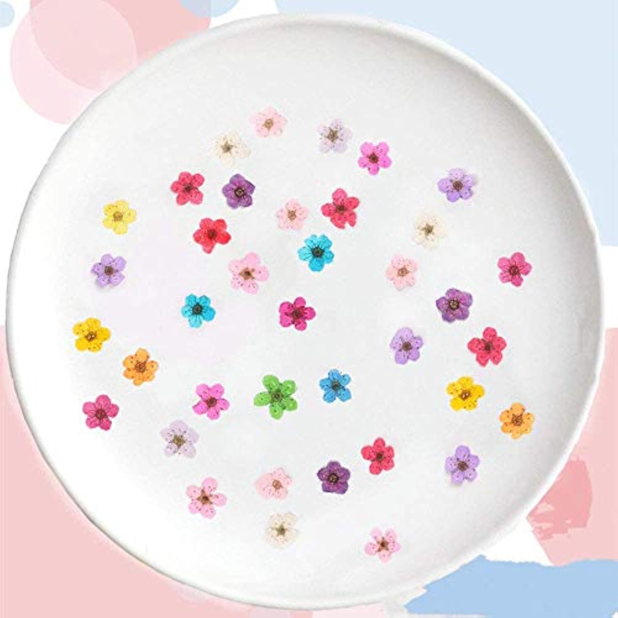 100 Pcs Pressed Flower for Resin Craft Making