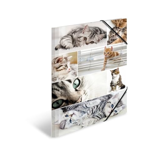 HERMA Sammelmappe A3 Katzen, Kinder Eckspanner-Mappe aus Pappe mit Tier Motiv, Gummizug, Innenklappen und Innendruck für Jungen und Mädchen