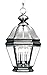 Livex 2634-29 Bradford Outdoor Chain Hung Lantern Vintage Pewter