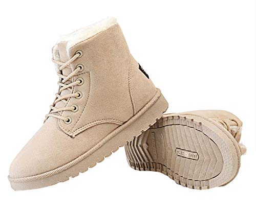 [le] [gu[c fB[X {A ~p C Xm[u[c ₷ p V[gu[c Ȃ r h hx[WT24