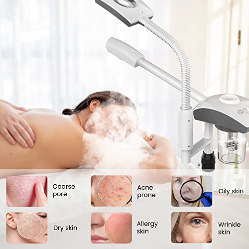 TASALON Ferramentas Profissionais de Vaporizador Facial para Esteticista, Cuidados com A Pele e Limp