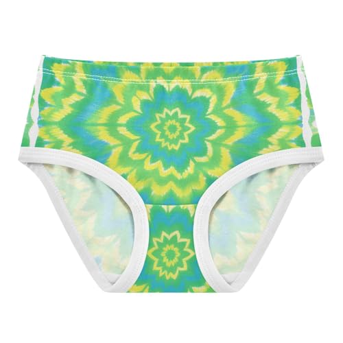 GuoChe Brief Panties Daily Wear Panties Breathable Underwear for Kids in Sizes 2T,3T, 4T, 5T, 6Y and 8Y