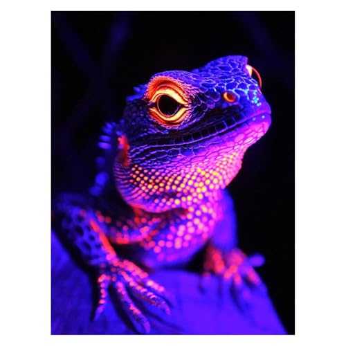 DIY トカゲ 数字油絵 動物 数字塗り絵画 手芸キット 40 x 30cm 絵画 インテリア 手作りキット ビッグサイズ 複数サイズ 子供 初心者 ペイントバイナンバー 画材 Painting by Numbers 適用対象そして自宅 壁飾り お歳暮誕生