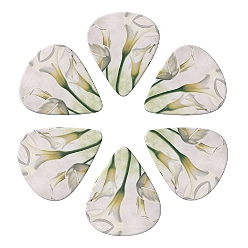 Beauty Flowers Lot de 6 médiators pour guitare acoustique, guitare électrique, basse, ukulélé – fins, moyens et épais - Les Beatles, Paul McCartney, John Lennon, RIngo Starr, George Harrison Beauty Flowers Lot de 6 médiators pour guitare acoustique, guitare électrique, basse, ukulélé – fins, moyens et épais – Image 5