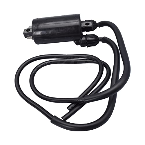 Hzxhs Motorcycle Ignition Coil 12V External Cdi For Honda Vt750 Shadow Aero 2005-2009 2014, Vt 750 Abs Deluxe 2002, Phantom Black #TOP4