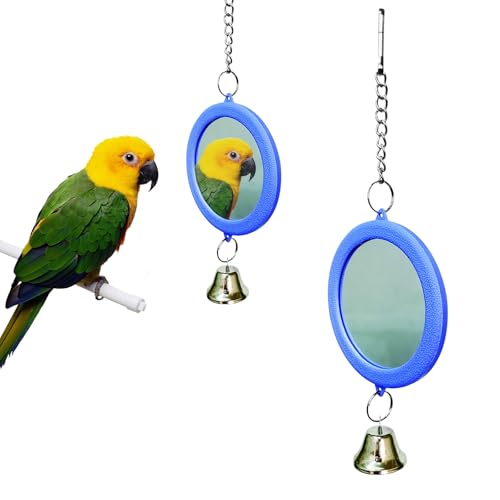 CR     t ݉ IE ~[ ߋ  ߋ V XgX   I` ZLZCCR ybgpi o[hgC (u[)