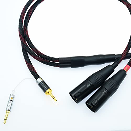 2.5mm Trrs to 2 Dual XLR Male Cable Balanced Audio for Astell&Kern AK100II, AK120II, AK240, AK380, AK320, DP-X1A, FIIO X5III XDP-300R iBasso DX200, KANN etc SP1000M SP2000 SR15 SE100 KANN Cube (10ft)