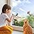 HCGADON Window Bird Feeder, Clear Birds Feeder with 5 Strong Suction Cups, Easy-to-Clean Detachable Feeding Tray, Outdoor Window Viewing Box, Weatherproof Garden Decor, Gifts for Bird Lovers, Cats
