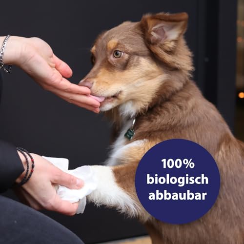 Canosept Universal Pflegetücher für Hunde 160 Stück -Ohrenreiniger Hund, Pfotenpflege Hund, Augenpflege Hund, Fellpflege Hund - Hunde Pflege mit Aloe Vera & Hamamelis - Feuchttücher Hund