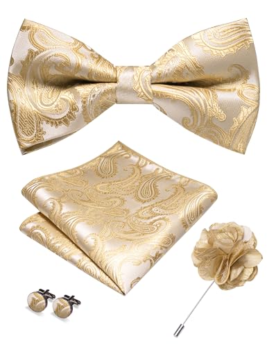 Image of RBOCOTT Paisley Bow Tie and Pocket Sqaure Set with Lapel Pin and Cufflinks for Men