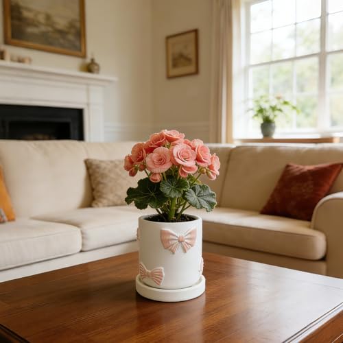 Giafiny Cute Pink Orchid Pot, Bow Decorative Succulent Planter for Indoor/Outdoor Plants, Hand Painted Pink Bow Cement Flower Pots with Tray/Drainage Hole for Home Room Decor — view 6