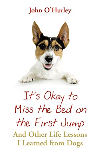 It's OK to Miss the Bed on the First Jump: And Other Life Lessons I Learned from Dogs