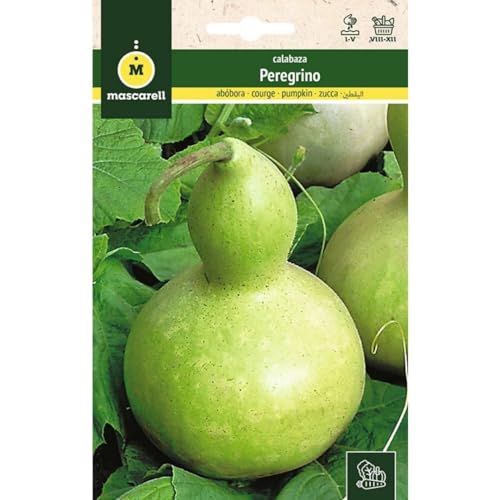 Mascarell Semillas, CALABAZA, Semillas Huerto, CALABAZA DEL PEREGRINO, Crea tu Propio Huerto Urbano y Cultivo en Casa, Plantas Hortícolas, 2 Gramos