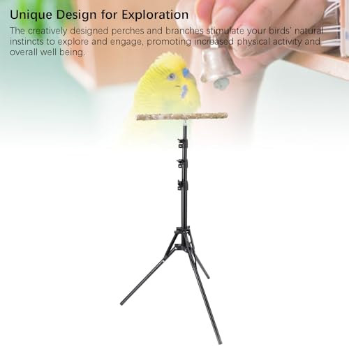 Bird Training Poleiro Stand Bird Play Stand Sturdy 61.81in Multifunções Pepper Wood Parrot Poleiro S