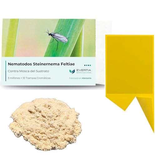 EVERTIA Nematodos contra Mosca del Sustrato, Mosquitos Plantas Interior, 3 Millones + 10 Trampas Amarillas. Kit Completo contra los Mosquitos de los Hongos, Moscas del Mantillo