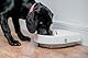 Cat Mate C300 Automatischer Futterspender für Haustiere mit 3 Mahlzeiten und digitalem Timer (366) – für Katzen oder kleine Hunde, für nasse und trockene Tierfutter, Mahlzeiten bis zu 0,3 kg, Weiß
