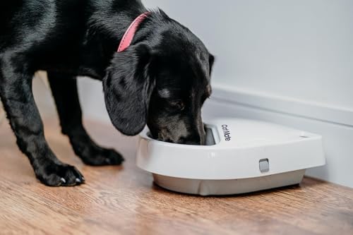 Cat Mate C300 Automatischer 3-Mahlzeiten-Futterautomat mit Digitalem Timer (366) – Für Katzen oder Kleine Hunde, Für Nass- und Trockenfutter, Mahlzeiten Bis zu 330 g Pro Stück, Weiß