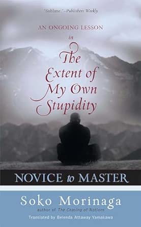 Novice to Master: An Ongoing Lesson in the Extent of My Own Stupidity book cover