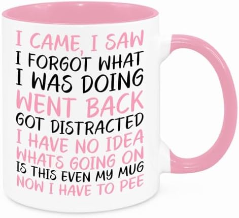 I Came I Saw I Forgot Mug - Funny Novelty Gift Silly Present Mugs...