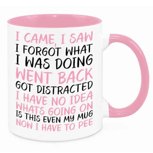I Came I Saw I Forgot Mug - Funny Novelty Gift Silly Present Mugs for Women Birthday Christmas for Mum Dad Friend Sister for Men Colleague Secret Santa Work Quotes (Pink)
