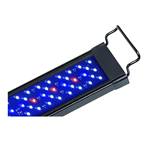 Aquatop SkyAqua LED Aquarium Light, 6500K Spectrum – Fits 12-18-Inch Tanks, 3 Position Toggle Switch, Aquarium Lights for Fish Tank, UL & CSA, Natural Sunlight Illumination by Aquatop - Image 3