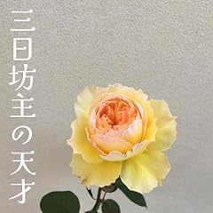 �O���V��̓V�� / �k