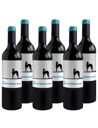 6 × Valderiz Valdehermoso 9 Meses Tempranillo Ribera del Duero Joven (Caja de 6 Botellas de 75 cl)