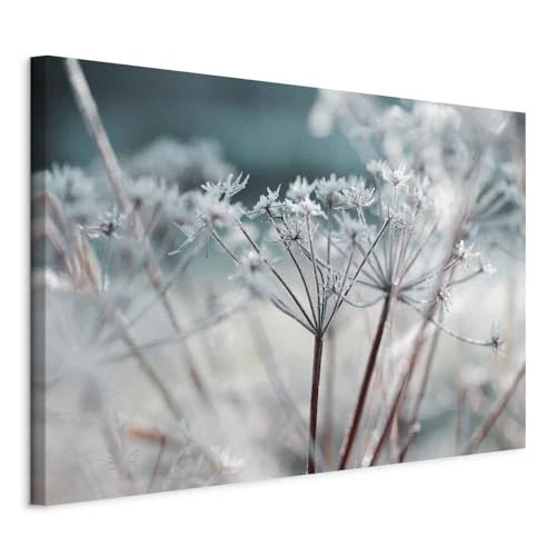 murando - Quadro Acustico Natura Gelata Fiori Botanico 60x40 cm 1 Pezzo - Stampa su Tela Schiuma Acustica - Quadri Fonoassorbenti Decorativi Moderni - Protezione dai Rumori Cameretta b-B-0514-b-a
