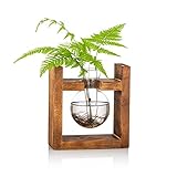 [Décompresseur] - Notre jardinière en verre pour terrarium est un décompresseur naturel, l'oxygène frais, les plantes vertes et les bouquets colorés sont la meilleure récompense pour votre travail acharné et détendent le stress de votre journée.