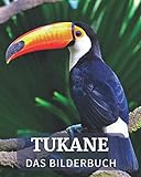 Tukane: Das Bilderbuch der schönen Tukane für Alzheimer-Parkinson und Senioren mit Demenz.