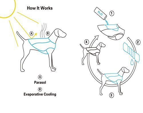 bingpet dog cooling jacket