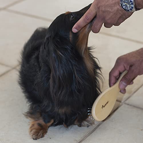 GermanHart Escova Com Bolinha M Germanhart