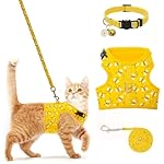BINGPET Cat Harness with Leash and Collar for Walking - Escape Proof with 59 Inches Leash - Adjustable Soft Vest Harnesses for Medium Large Cats Bee