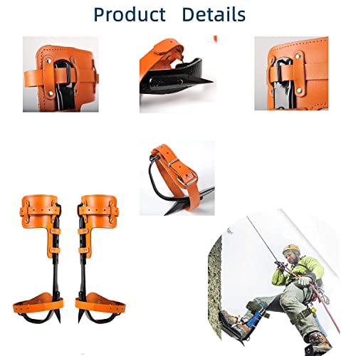 Tree Climbing Gear, Tree Climbing Spikes With Adjustable Belt & Non-Slip Pedals, 304 Stainless Steel Tools Kit For Tree Climbing, Fruit Picking, Outdoor Sports And Hunting. (Leather With Safe-Belt) #TOP1