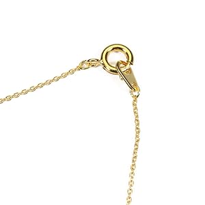 お買い得商品 血赤珊瑚枝ネックレス Amazon | 血赤珊瑚 ペンダント ネックレス 枝 無染色