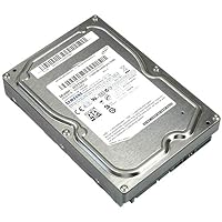 IBM – 1 TB SATA Samsung Spinpoint F1 HD103SJ