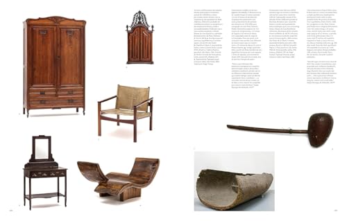 Remanescentes da Mata Atlântica: As grandes árvores da floresta original e seus vestígios