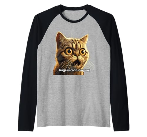 Rage Is Consuming Me Meme Cat Meme Curieusement Specific Memes Joke Manche Raglan