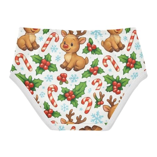 Joisal Cute Cartoon Reindeer Snow Toddlers Underwear Floral 2t Cotton Little Girl Panties Cartoon Kids Briefs Undies2