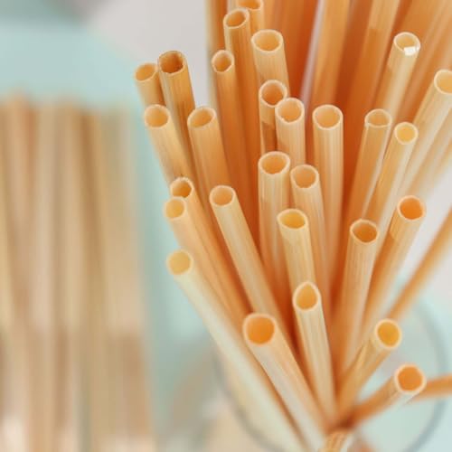 100 pitillos biodegradables de trigo de 9 pulgadas miniatura 2