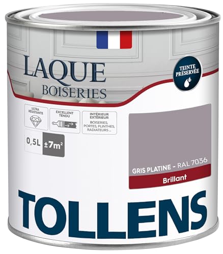 Tollens - Peinture, Laque, Ultra Résistante, Multisupport, Brillant, Gris Platine, 0.5L = 7m2