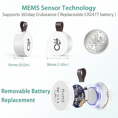 ORIA Wireless Thermometer Hygrometer, Smart Bluetooth Humidity Temperature Sensor, Mini Indoor Outdoor Temperature Monitor with Data Storage and Export, Smart App Alert, 3 Pack
