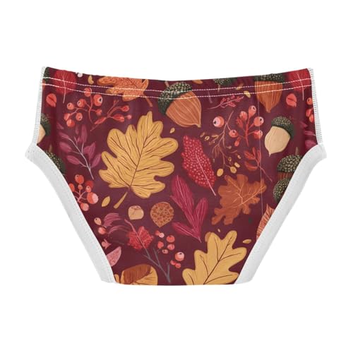 Dussdil Boy's Underwear Boys Briefs Toddler Cotton Training Underwear 2-6t2