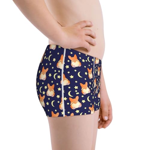 Boys' Cotton Boxer Brief Soft Underwear-Corgi Lying With Moons And Stars2
