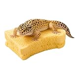 Reptilien Häutungshilfe Realistisches vielseitiges kratzfestes